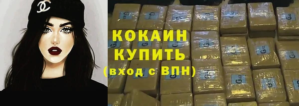 ГАЛЛЮЦИНОГЕННЫЕ ГРИБЫ Аркадак